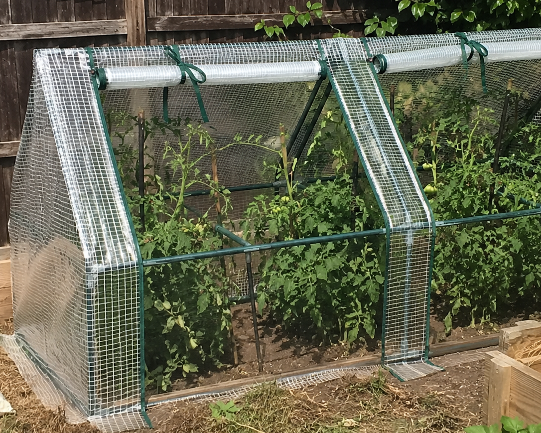 Mini Serre Tunnel de Jardin 180 cm avec 2 Fenêtres Zippées