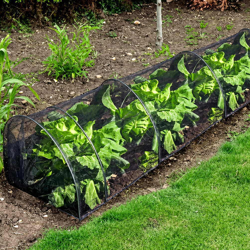 Serre de Jardin Pliable en Maille Noire pour Protection des Cultures