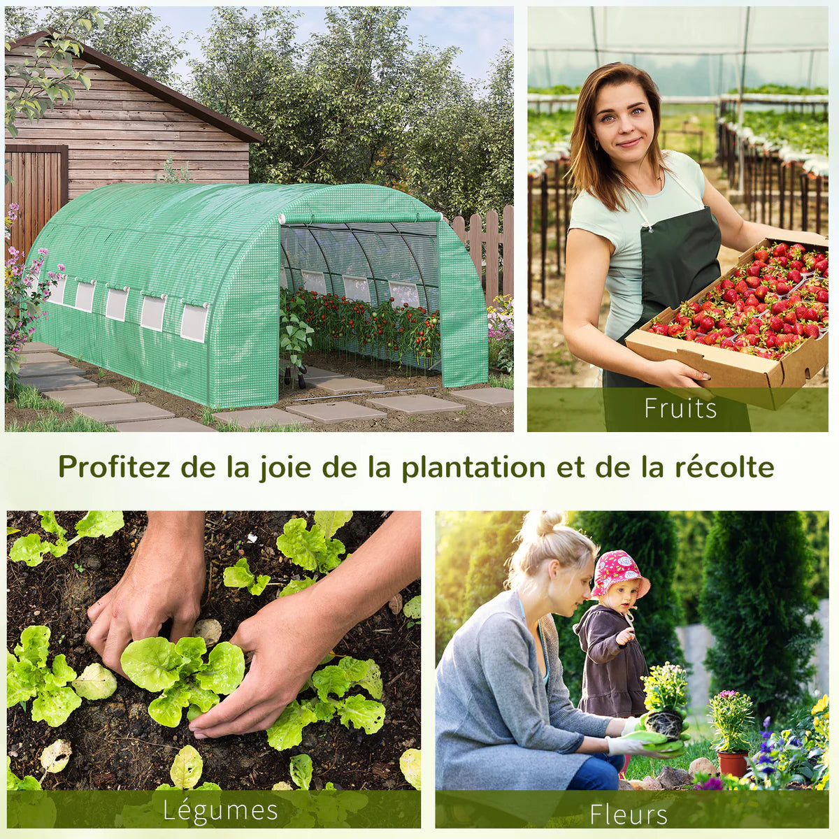 Serre Tunnel de Jardin 18 m² avec 12 Fenêtres et Structure Renforcée